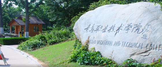 青岛职业技术学院校园无线网弱电项目